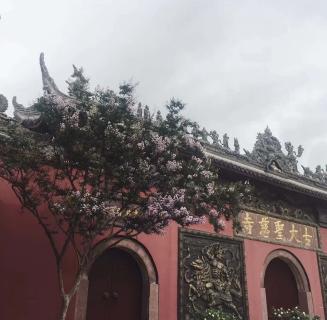 百达娱乐：助力公益活动建设，实现经济效益与社会效益的双赢！